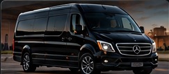 Executive sprinter